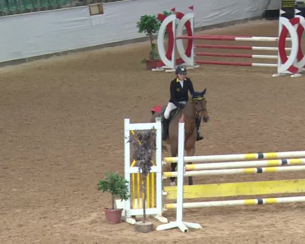 Reitturnier Kreuth 2017
