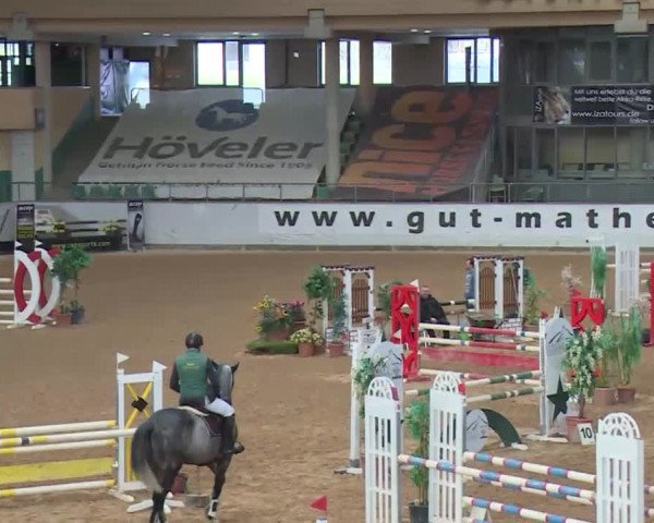 Reitturnier Kreuth 2017