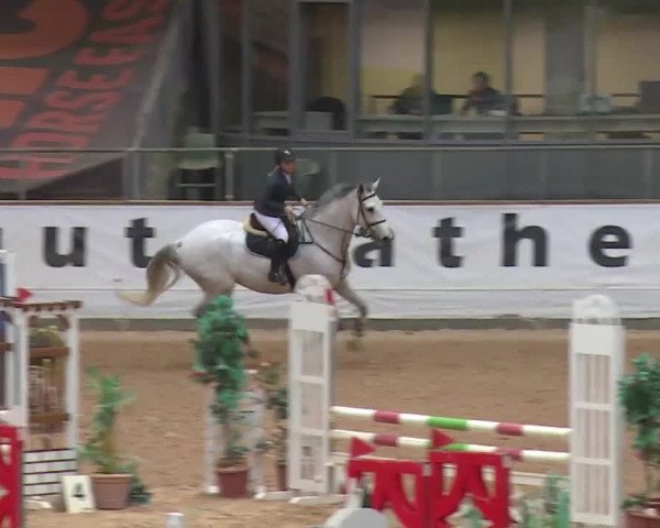 Reitturnier Kreuth 2017