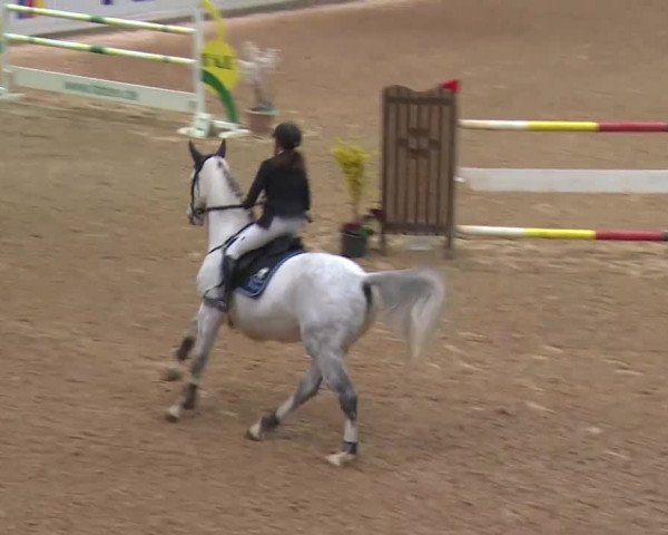Reitturnier Kreuth 2017