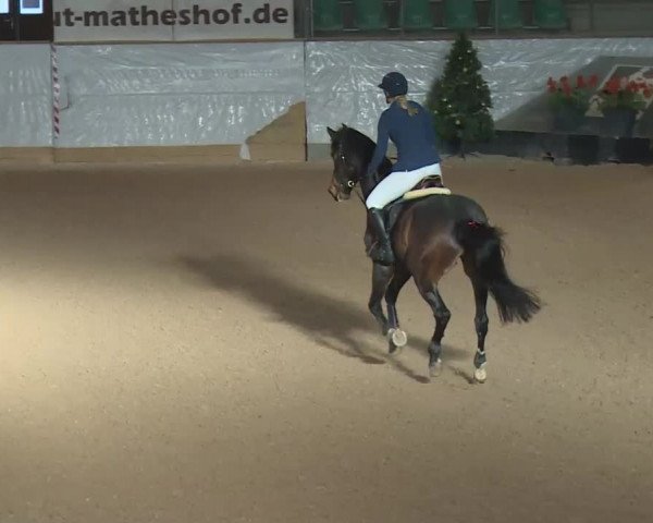 Reitturnier Kreuth 2017
