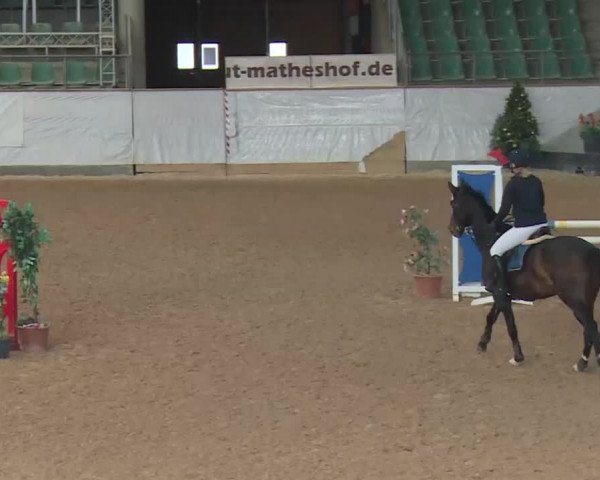 Reitturnier Kreuth 2017