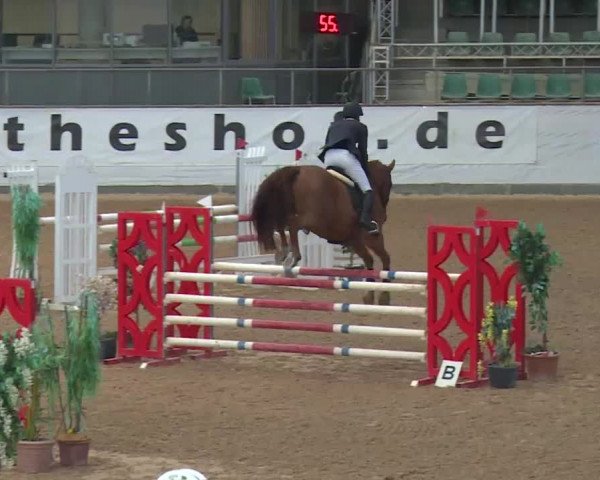 Reitturnier Kreuth 2017