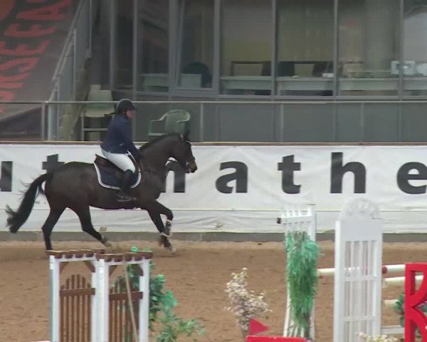 Reitturnier Kreuth 2017