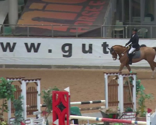 Reitturnier Kreuth 2017