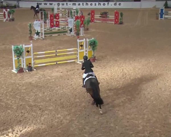 Reitturnier Kreuth 2017