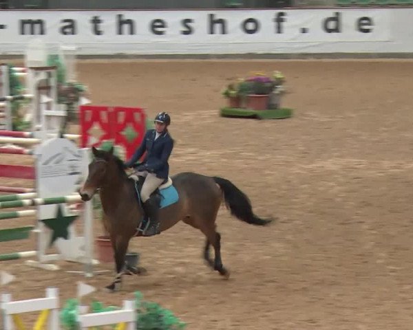 Reitturnier Kreuth 2017