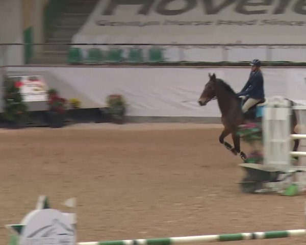 Reitturnier Kreuth 2017