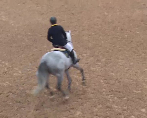 Reitturnier Kreuth 2017