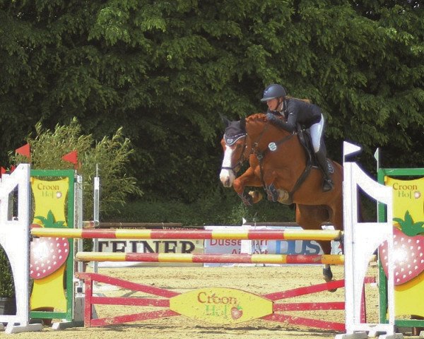 jumper Gonna Fly Now (KWPN (Royal Dutch Sporthorse), 2011, from Spartacus TN)