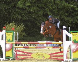 jumper Gonna Fly Now (KWPN (Royal Dutch Sporthorse), 2011, from Spartacus TN)