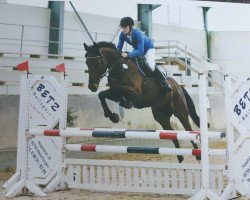 jumper Montendra 2 (Westphalian, 2009, from Montendro)