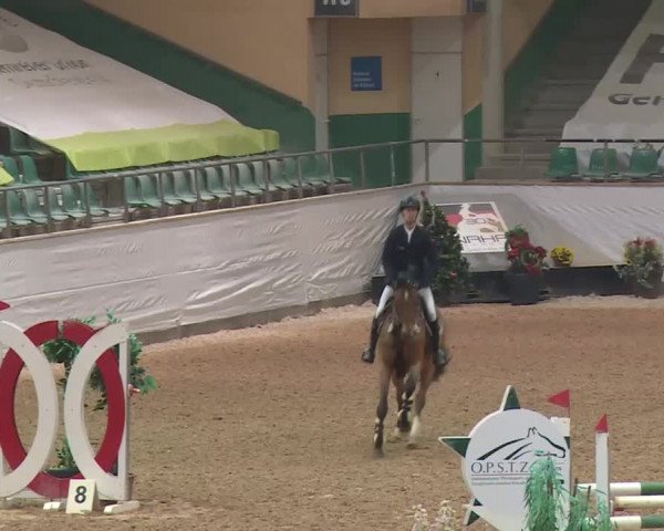 Reitturnier Kreuth 2017