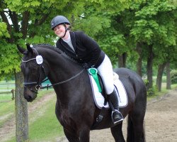 dressage horse Romantic Moment (Westphalian, 2013, from Blue Hors Romanov)
