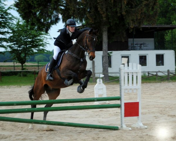 jumper Coco Jambo S (Westphalian, 2010, from Coronas 2)