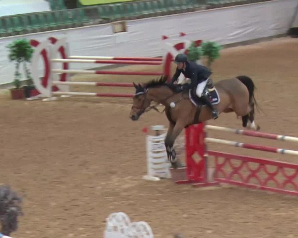 Reitturnier Kreuth 2017