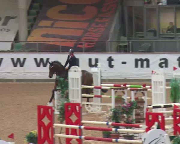 Reitturnier Kreuth 2017
