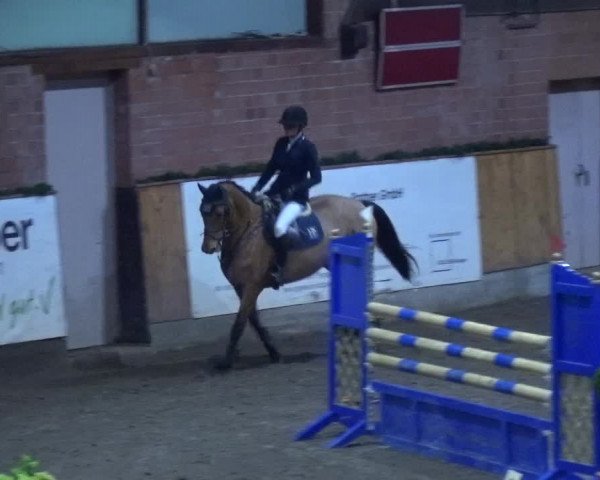 Reitturnier Hamburg-Friedrichshulde 2017