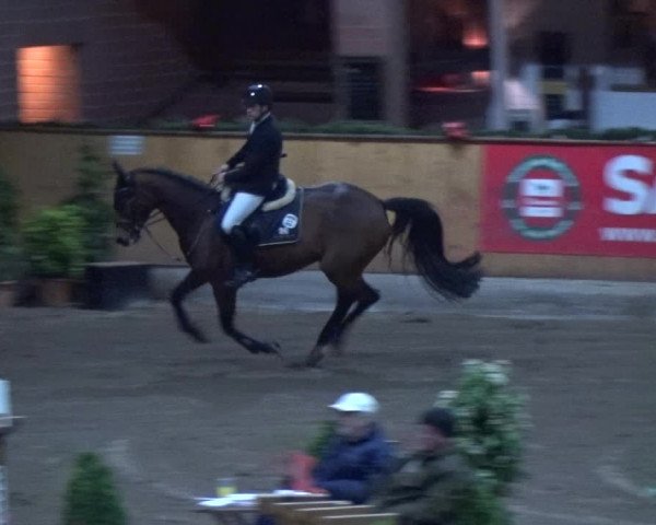 Reitturnier Hamburg-Friedrichshulde 2017