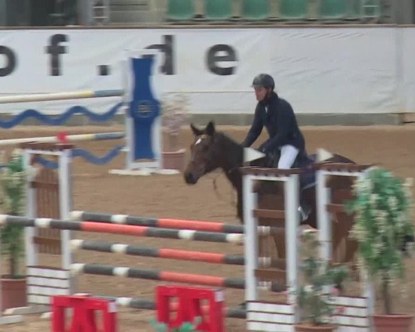 Reitturnier Kreuth 2017