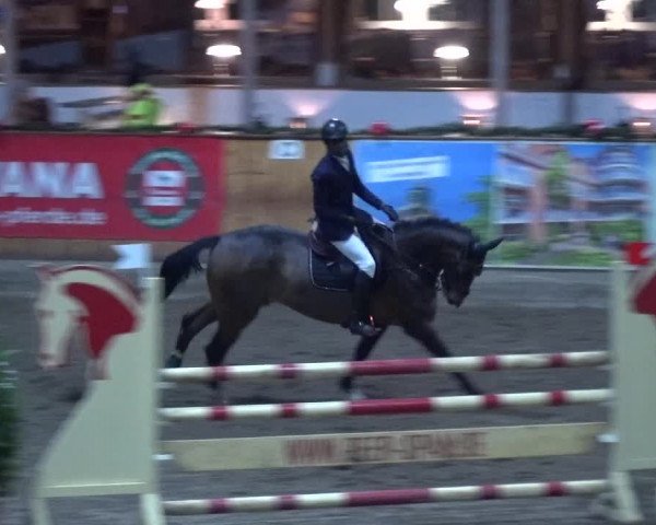 Reitturnier Hamburg-Friedrichshulde 2017