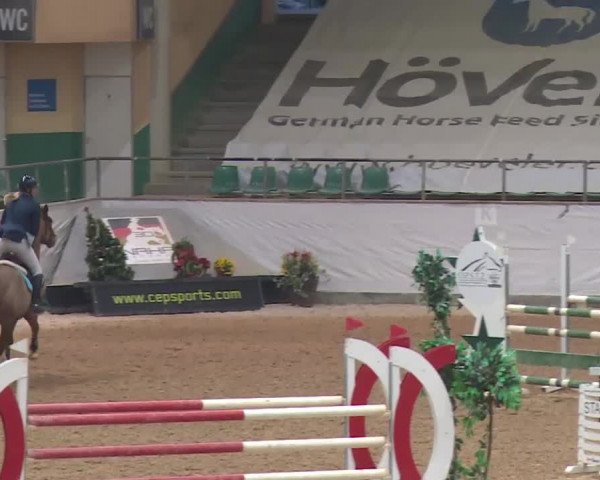 Reitturnier Kreuth 2017