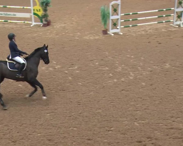 Reitturnier Kreuth 2017