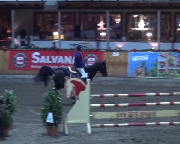 Reitturnier Hamburg-Friedrichshulde 2017
