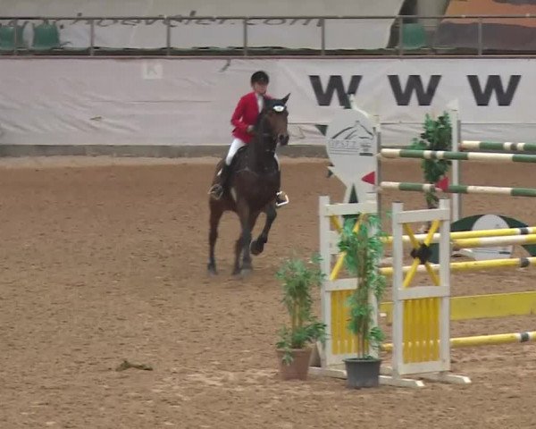 Reitturnier Kreuth 2017