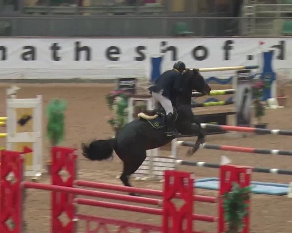 Reitturnier Kreuth 2017