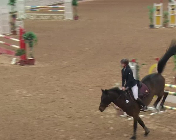 Reitturnier Kreuth 2017