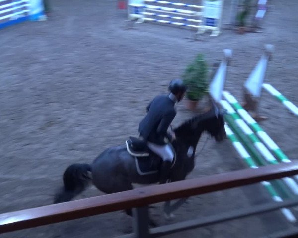 Reitturnier Hamburg-Friedrichshulde 2017