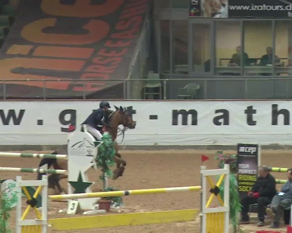 Reitturnier Kreuth 2017