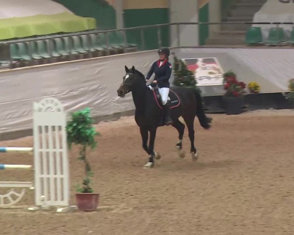 Reitturnier Kreuth 2017