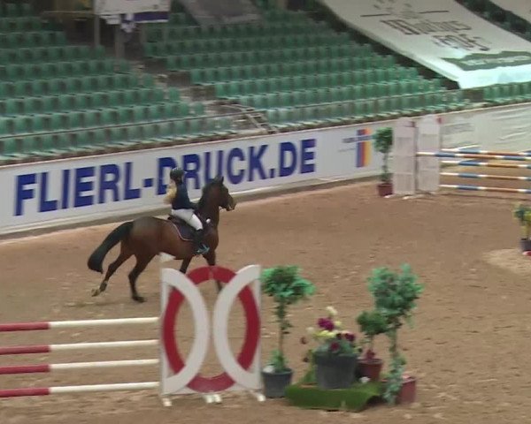 Reitturnier Kreuth 2017