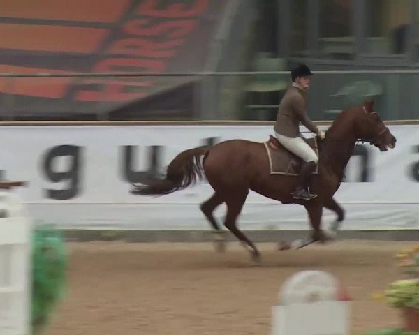 Reitturnier Kreuth 2017