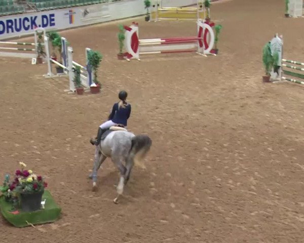 Reitturnier Kreuth 2017