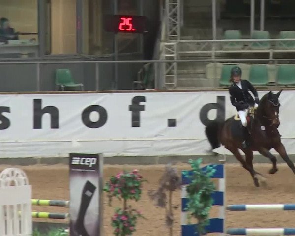 Reitturnier Kreuth 2017