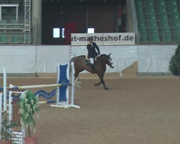Reitturnier Kreuth 2017