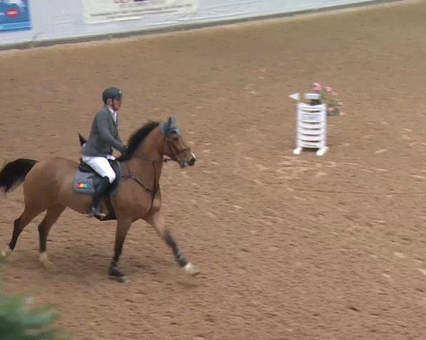 Reitturnier Kreuth 2017