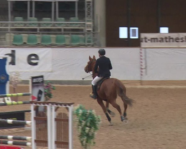 Reitturnier Kreuth 2017