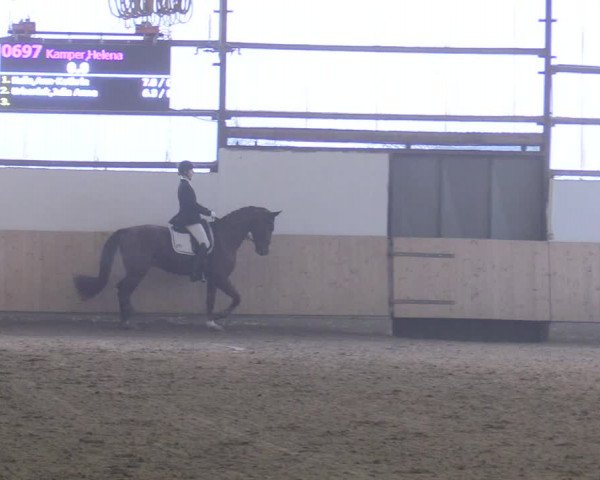 Reitturnier Datteln 2017