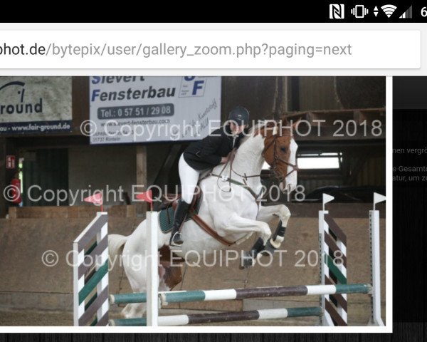 Springpferd Idefix 223 (Oldenburger Springpferd, 2008)