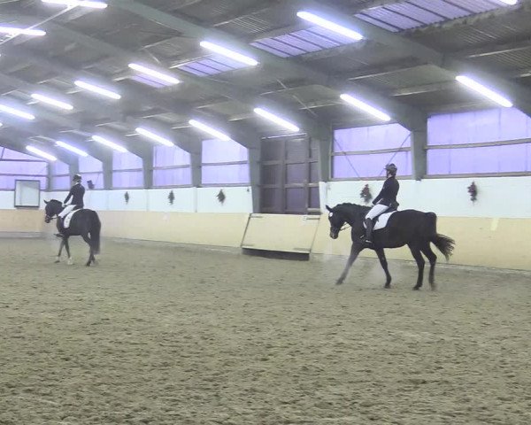 Reitturnier Datteln 2017