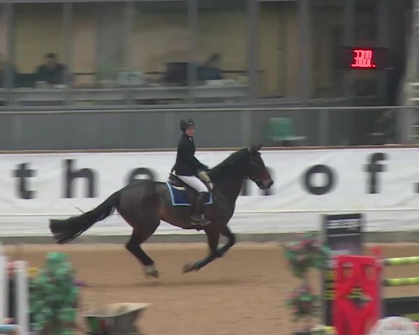 Reitturnier Kreuth 2017