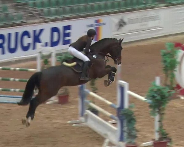 Reitturnier Kreuth 2017