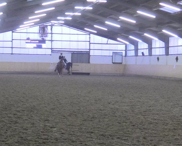 Reitturnier Datteln 2017