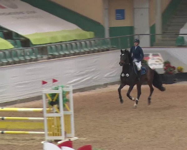 Reitturnier Kreuth 2017