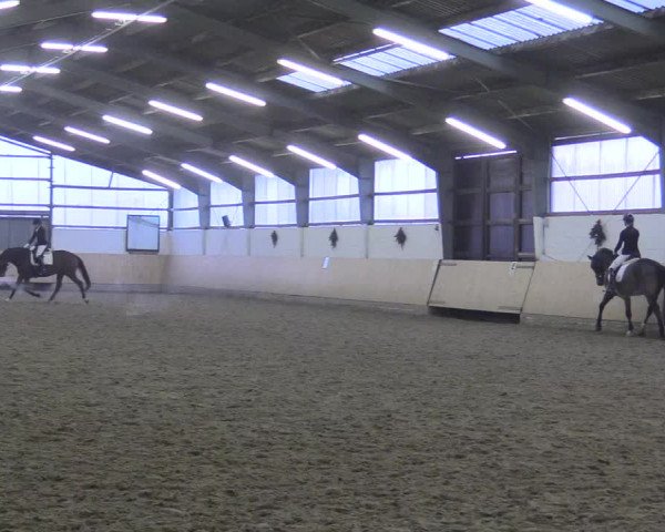 Reitturnier Datteln 2017