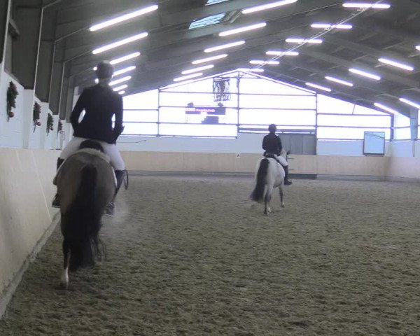 Reitturnier Datteln 2017